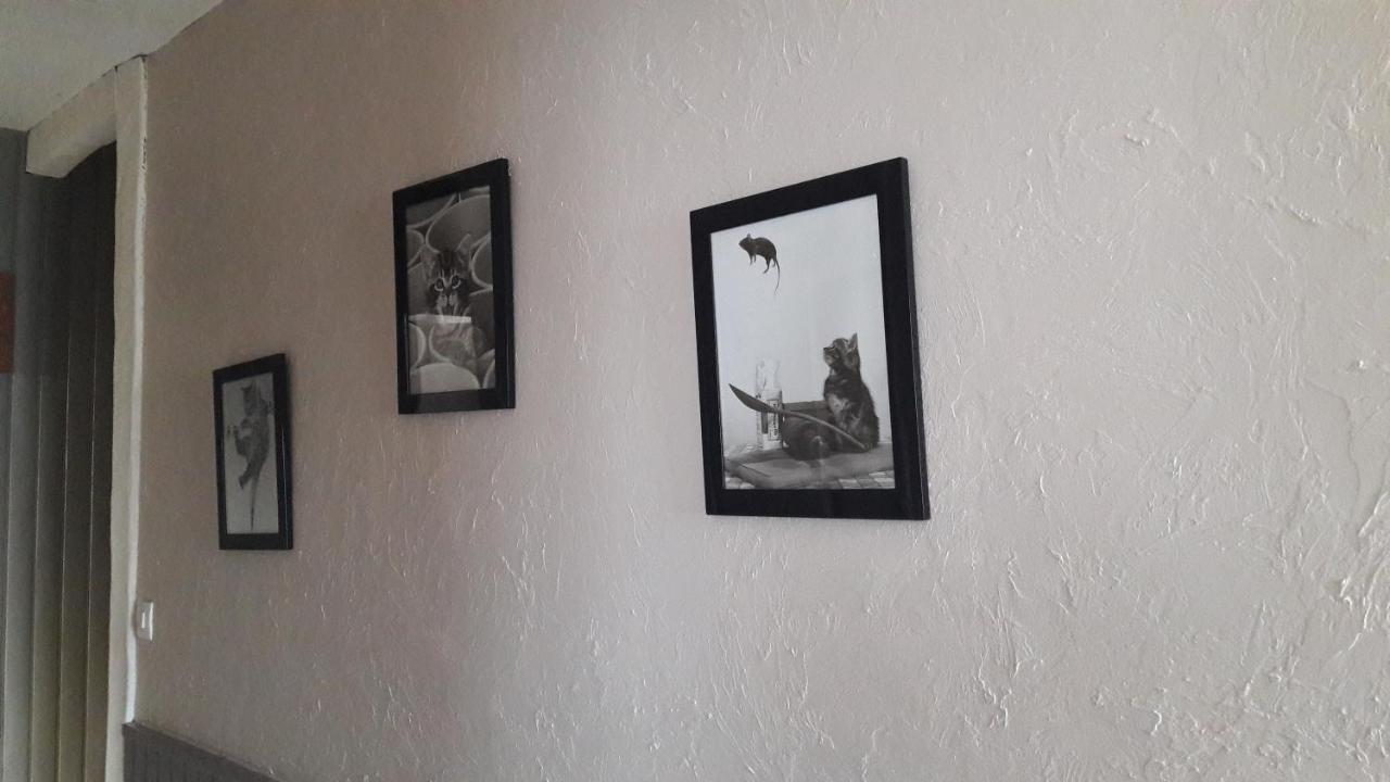 Chambre D'Hote - La Ruche Des Bleuets Mulsanne Luaran gambar