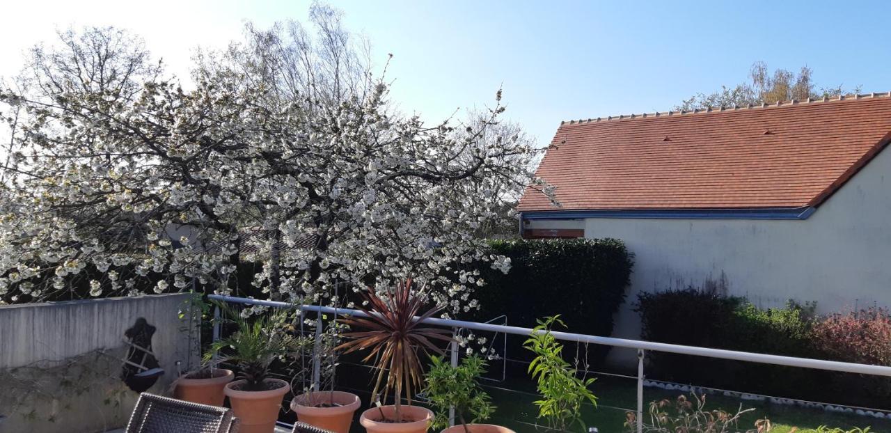 Chambre D'Hote - La Ruche Des Bleuets Mulsanne Luaran gambar